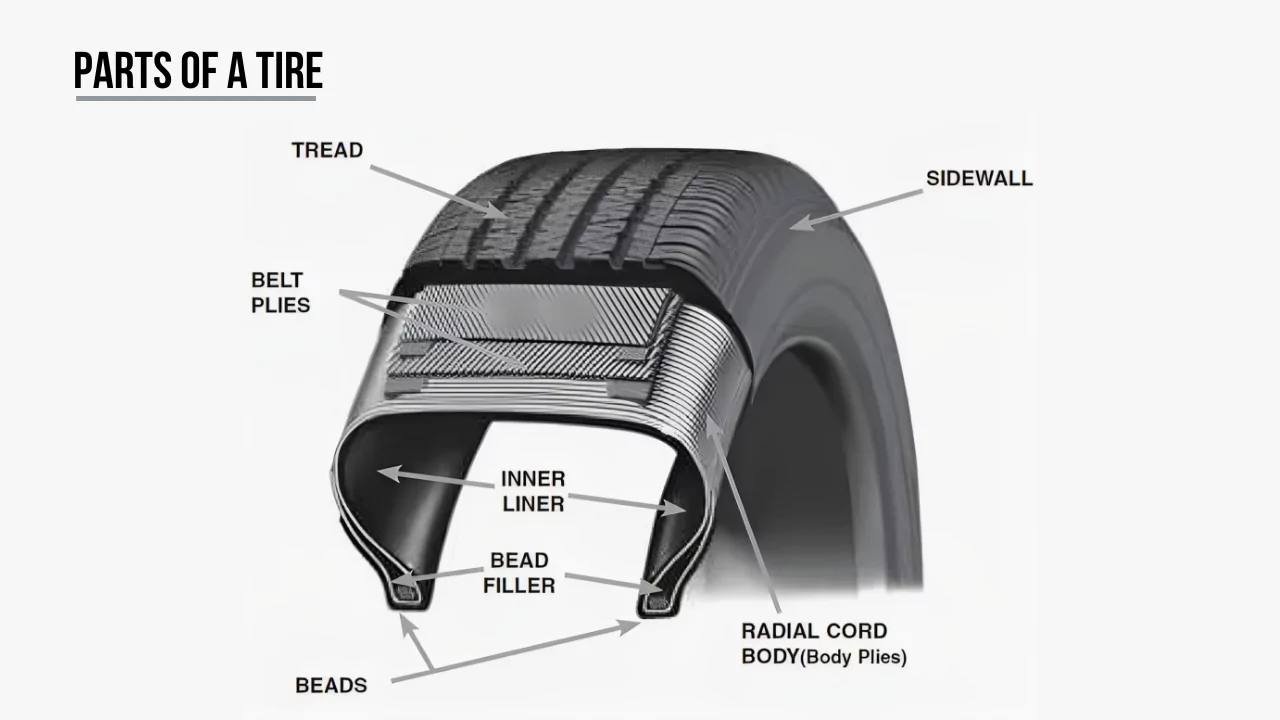 Parts of a tire diagram