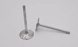 What Is an Engine Valve?- Definition, Working, and Types