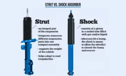 What Are Struts on a Car? | Shocks vs Struts