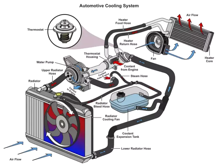 Parts of engine Cooling system